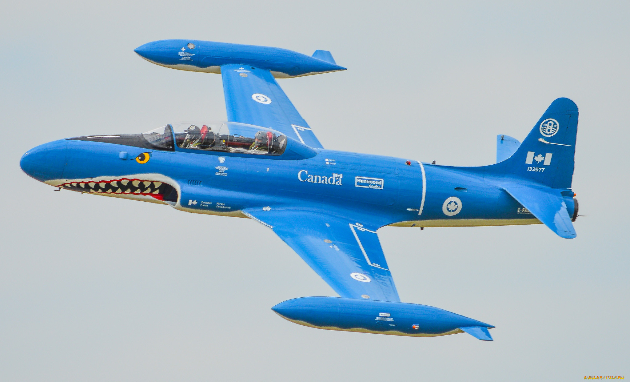 t-33 mako shark, ,  , 